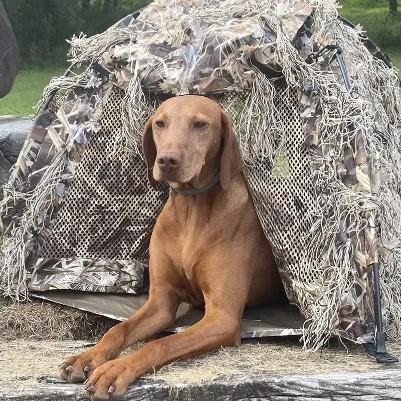 Outdoor Hunting Blinds - Tenda de Caça Leve Camuflada Impermeável