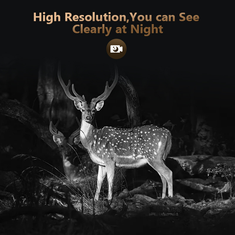 Câmera de jogo de trilha de ca - Trail Camera Infrared avaliação e preço
