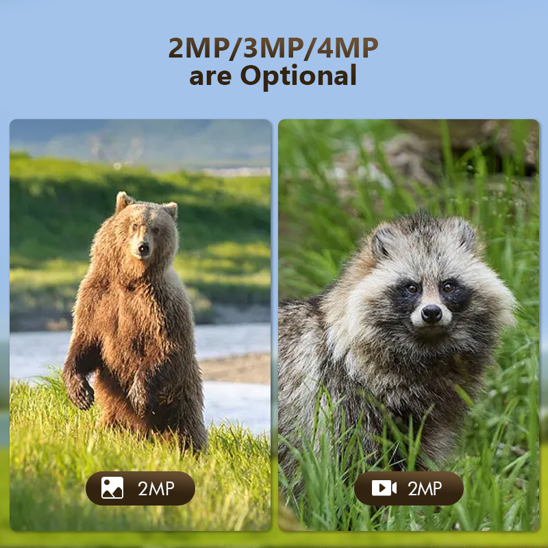 Câmera de jogo de trilha de ca - Trail Camera Infrared avaliação e preço