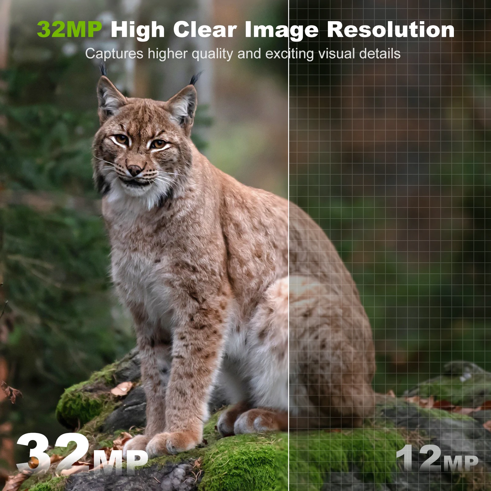Câmera solar ao ar livre sem f - Outdoor Hunting Camera Wireless avaliação e preço